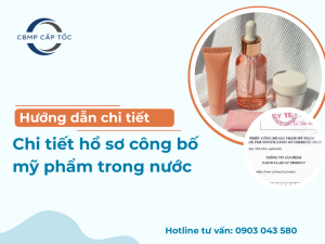 Chi tiết hồ sơ công bố mỹ phẩm trong nước