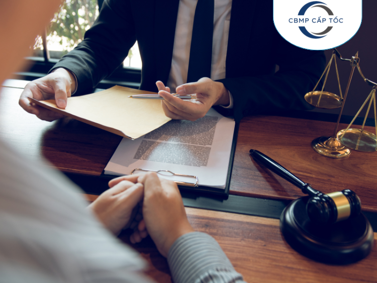 Dịch vụ tư vấn thành lập doanh nghiệp